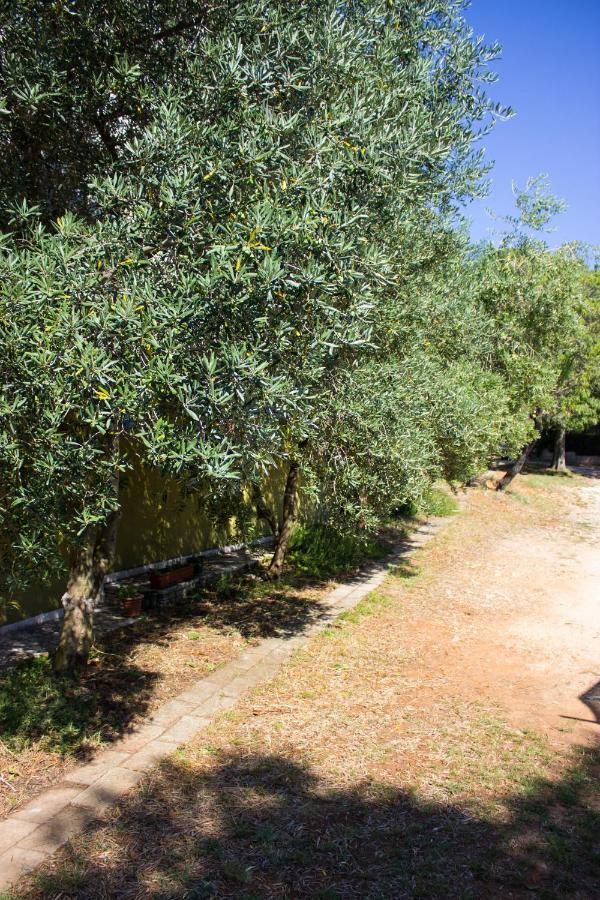 Bilini Garden Apartment Pula Zewnętrze zdjęcie